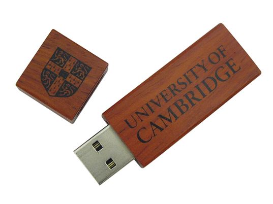 Wooden USB Flash Drive