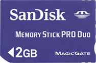 Sandisk Standard 2GB Memory Stick PRO Duo Card